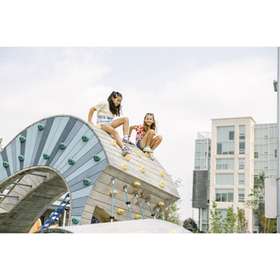 Picture of Commercial Climbing Holds & Playground Equipment